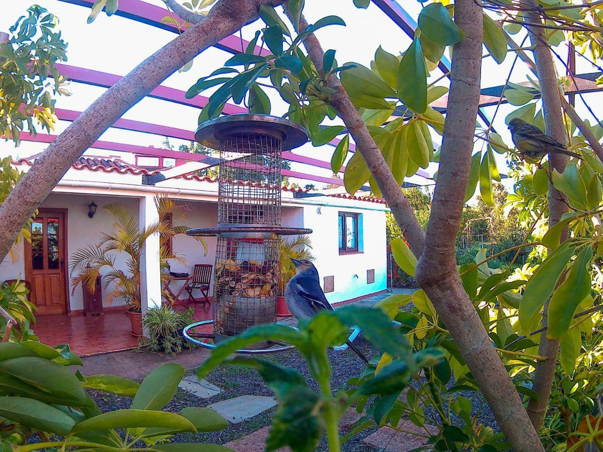 Villa La Casa De La Cartita Puntagorda Exterior foto